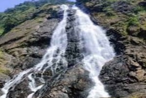 Private: Salto de La Jalda Hike & Horseback Ride