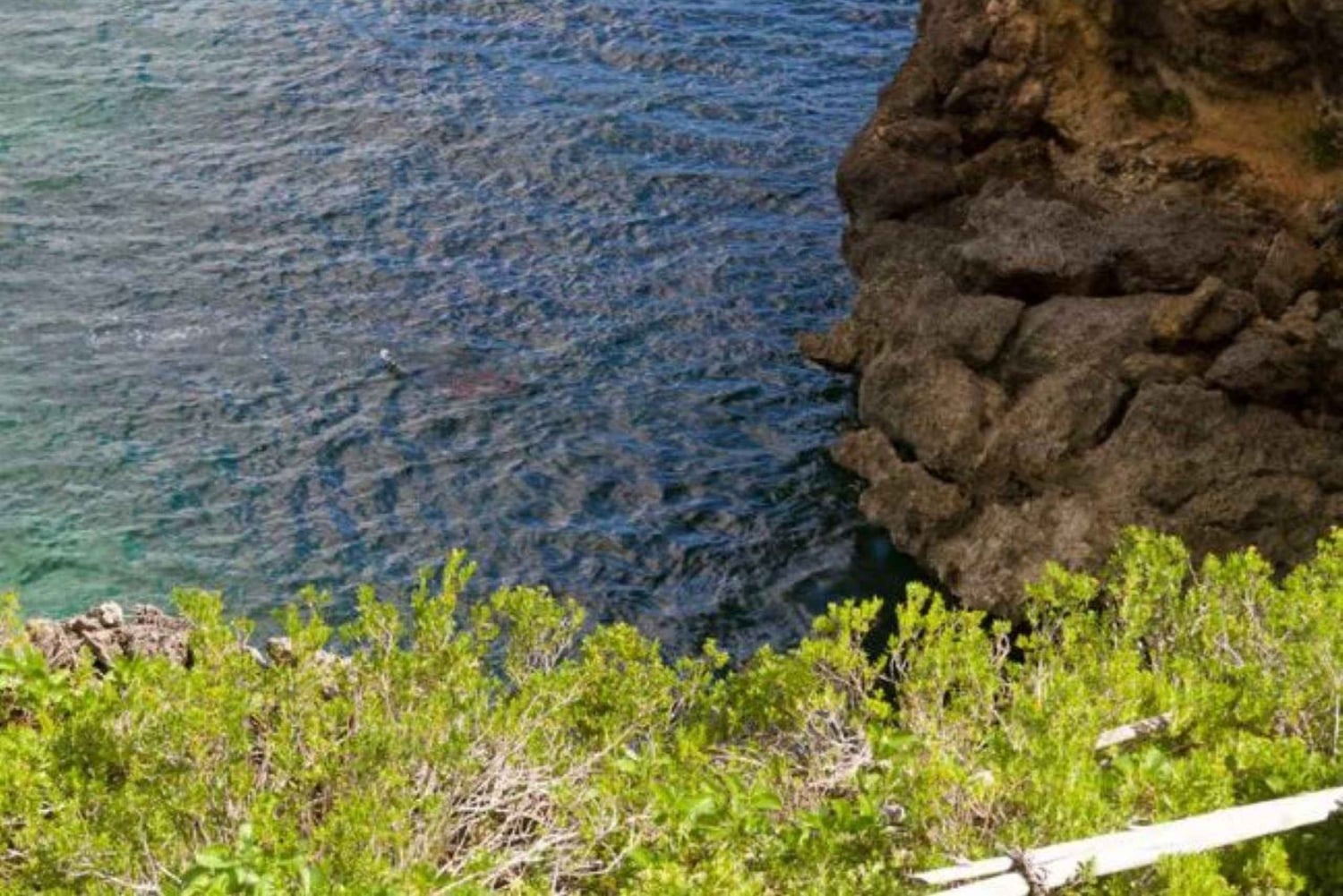 Private: Samana Adventure Cayo Levantado Kayak Snorkel Tour