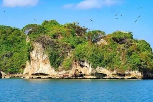 Privat: Samaná Bay, El Limón og Cayo Levantado-tur