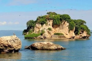 Private: Samaná Bay, El Limón, & Cayo Levantado Tour