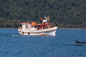 Private: Samana: Bay of Samaná Whale Watching Experience