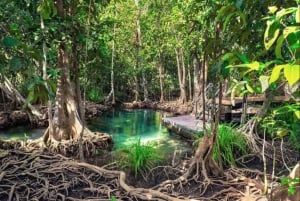 Private Samaná: Los Haitises Park, Caño Hondo & Yanigua Tour