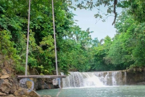 Samaná privata: tour del Parco Los Haitises, Caño Hondo e Yanigua