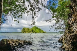 Samaná privata: tour del Parco Los Haitises, Caño Hondo e Yanigua