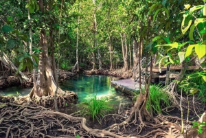 Samaná privata: tour del Parco Los Haitises, Caño Hondo e Yanigua