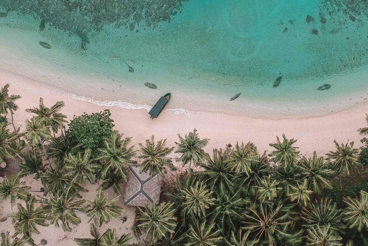 Prywatna: luksusowa wycieczka 1-dniowa – Samaná, wieloryby i Cayo Levantado