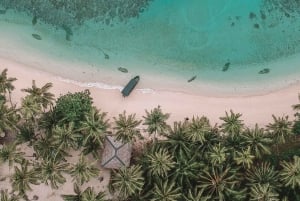 Prywatna: luksusowa wycieczka 1-dniowa – Samaná, wieloryby i Cayo Levantado