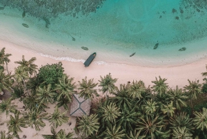 Private: Samaná Whale & Cayo Levantado Luxury Day Trip