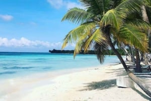 Passeio de catamarã privado na Ilha Saona com almoço