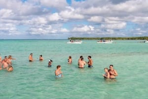 Private: Saona Island Day Trip with Lunch & Cruise