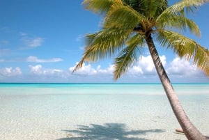 Privat: Saona Island heldagsutflukt med måltider og drikkevarer