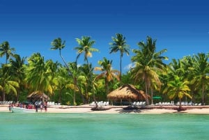 Privat: Saona Island heldagsutflukt med måltider og drikkevarer