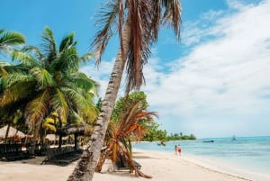Privat: Saona Island heldagsutflukt med måltider og drikkevarer
