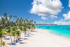 Privat: Saona Island heldagsutflukt med måltider og drikkevarer