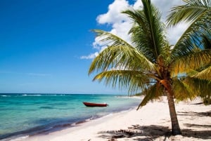 Privé: Saona Island Premium & Mano Juan Day Escape