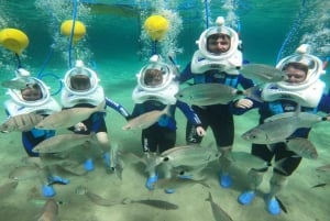 Privado: passeio de scooter subaquática e snorkel