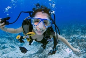 Privado: passeio de scooter subaquática e snorkel