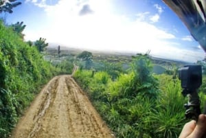 Private: Small-Group Half-Day Trip to Montaña Redonda