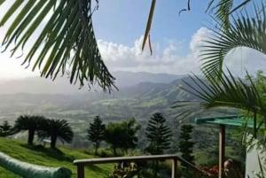 Private: Small-Group Half-Day Trip to Montaña Redonda