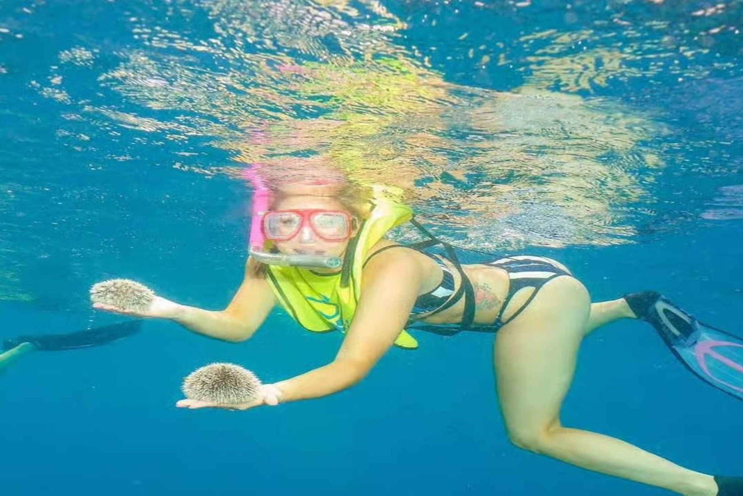 Tour privado de snorkel en la bahía de Sosúa con recogida en el hotel