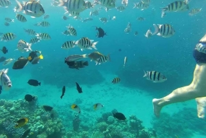 Tour privado de snorkel en la bahía de Sosúa con recogida en el hotel