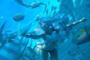 Tour privado de snorkel en la bahía de Sosúa con recogida en el hotel