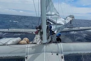 Privado: Viagem de catamarã e mergulho com snorkel de 1 dia em Sosúa