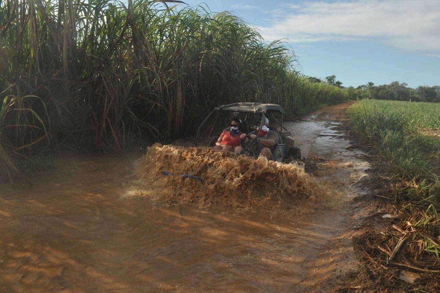 Private: Sunset Horseback Experience — Macao Forest & Beach