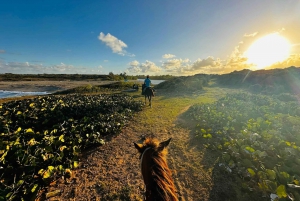 Private Sunset Horseback Riding Tour at Macao Beach