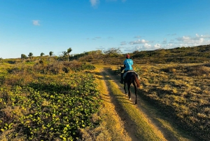 Private Sunset Horseback Riding Tour at Macao Beach