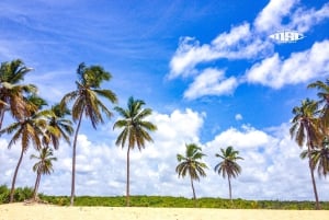 Private Surfing Experience at Beautiful Macao Beach w/Pickup