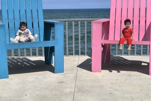 Private tour: History and Iconic Modern Monuments in Santo Domingo