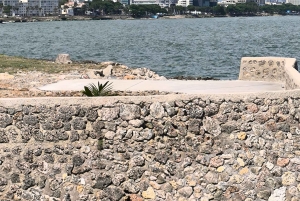 Private tour: History and Iconic Modern Monuments in Santo Domingo