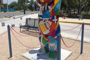 Private tour: History and Iconic Modern Monuments in Santo Domingo