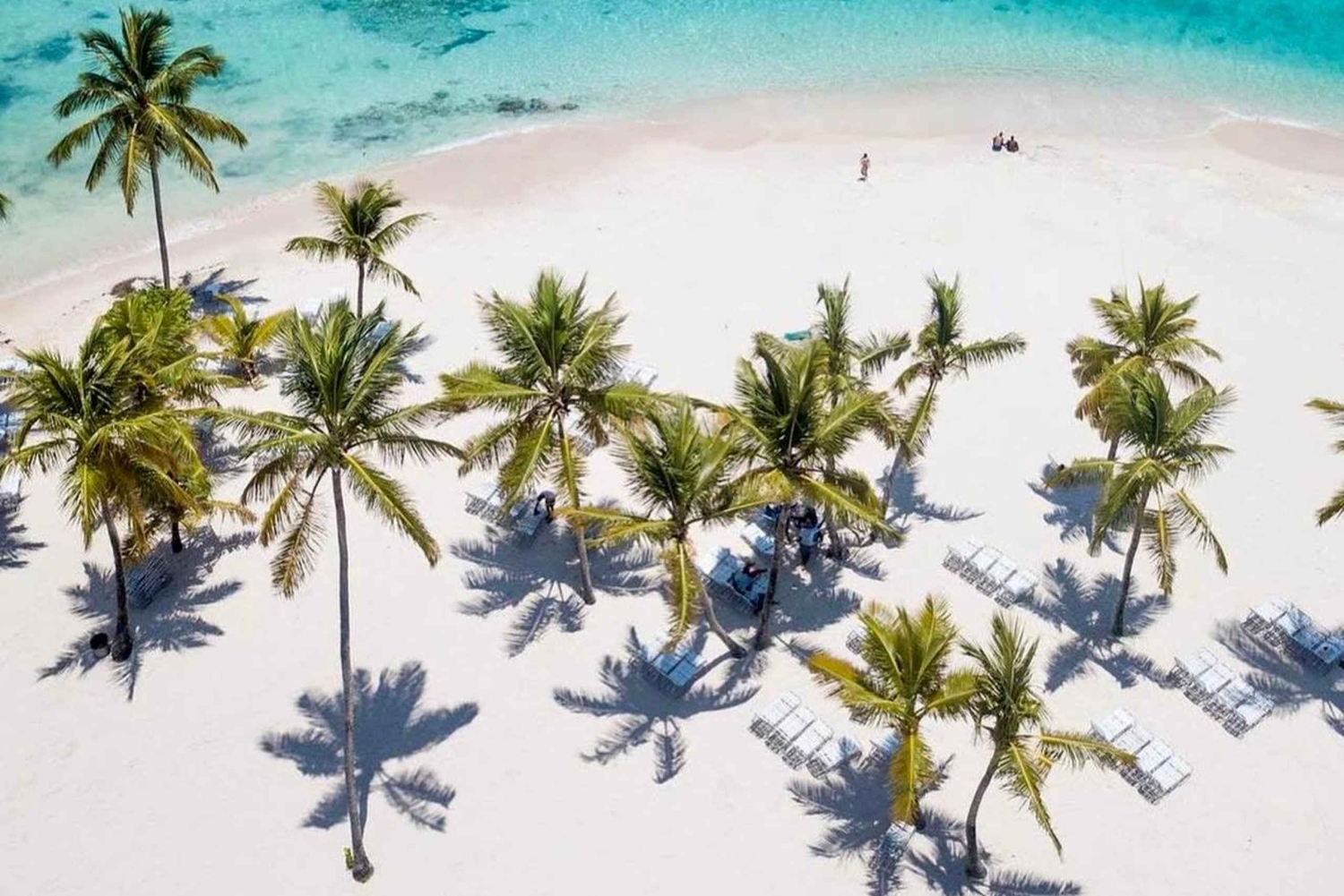 Private Tour to Samaná from Santo Domingo: Salto El Limón and Cayo Levantado