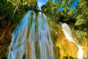 Private Tour to Samaná from Santo Domingo: Salto El Limón and Cayo Levantado