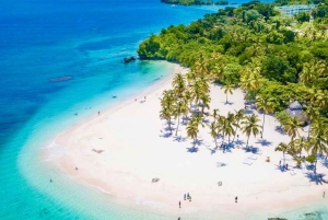 Private Tour to Samaná from Santo Domingo: Salto El Limón and Cayo Levantado