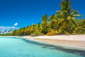 Yksityinen retki Saonan saarelle, Punta Canassa