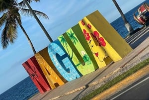 Privat transfer fra Punta Cana lufthavn til hoteller i området