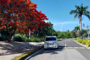 Privater Transfer Lopesan Costa Bavaro nach Punta Cana Flughafen