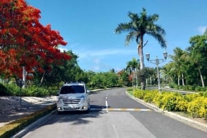 Privé transfer Paradisus Palma Real naar Punta cana Luchthaven