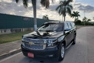 Privata VIP flygtransfer från Punta Cana Flygplats till hotell