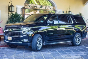 Privata VIP flygtransfer från Punta Cana Flygplats till hotell