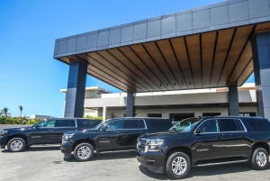 Privata VIP flygtransfer från Punta Cana Flygplats till hotell