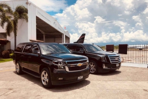 Privata VIP flygtransfer från Punta Cana Flygplats till hotell