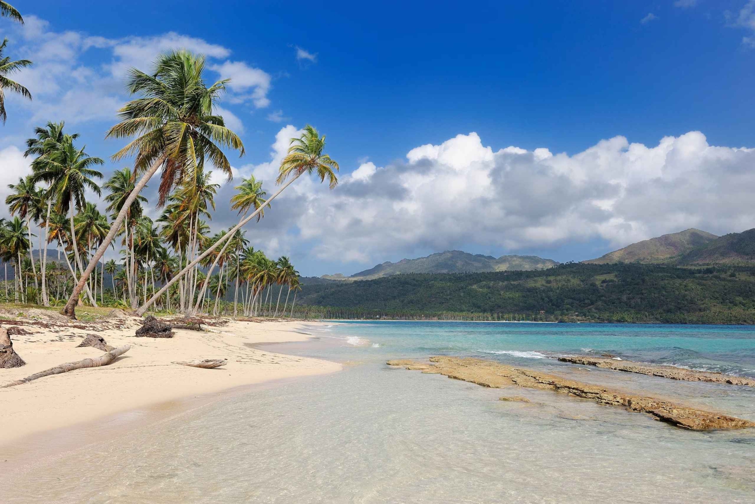 Private: Whale-Watching & Beach Escape from Punta Cana