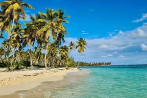 Private: Whale-Watching & Beach Escape from Punta Cana