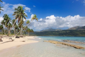 Private: Whale-Watching & Beach Escape from Punta Cana