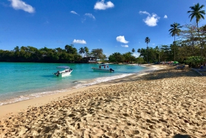 Private: Whale-Watching & Beach Escape from Punta Cana