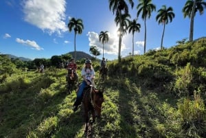 Privado: Combo de tirolesa e passeio a cavalo em Puerto Plata